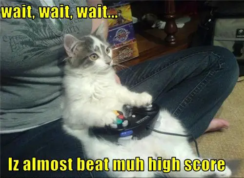 Cat, Beating Score