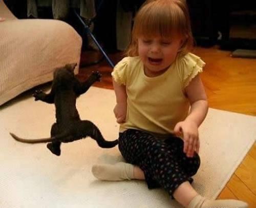 Cat Scares Kid