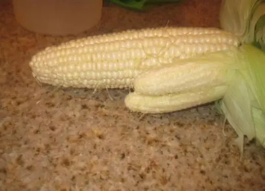 Horny Corn
