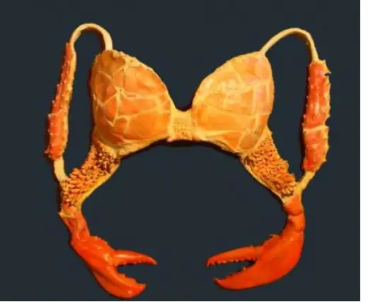 Bra Out Of Crab