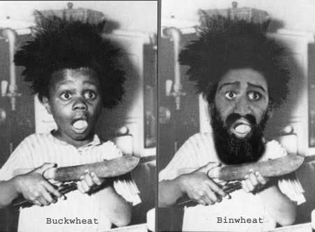 When Bin Laden Was Young