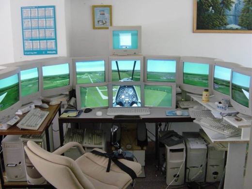 The Ultimate Flight Simulator