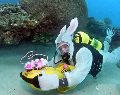 Underwater Easter Hunt