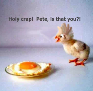 Freaked Out Easter Chick !