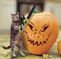 Cat Carving Pumpkins