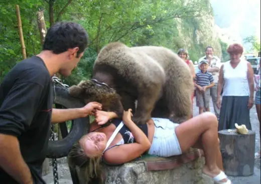 Bear Climbs on Girl