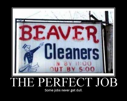 The Perfect Job