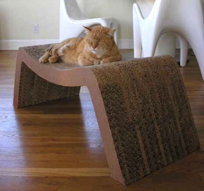 Designer Cat Beds