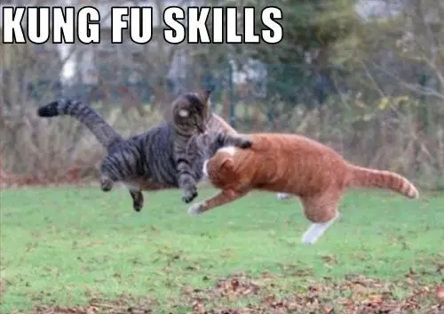 Skills That's So Awesome