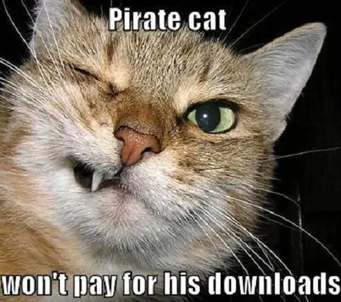 Pirate Cat