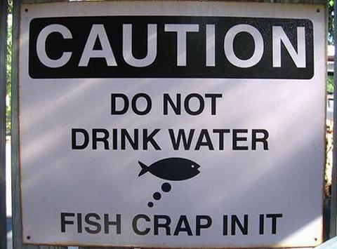 Funny Picture-Caution