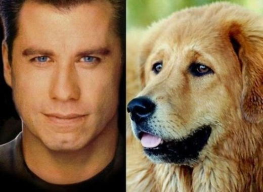 Celebrity Animal Look Alikes