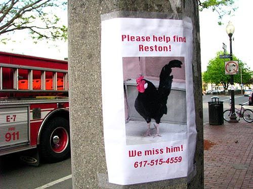 Funny Lost and Found Signs