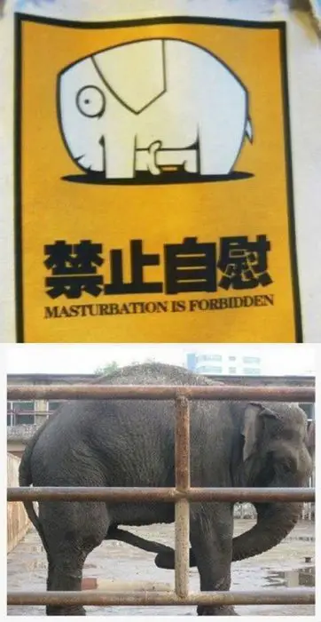 Masturbation Is Forbidden