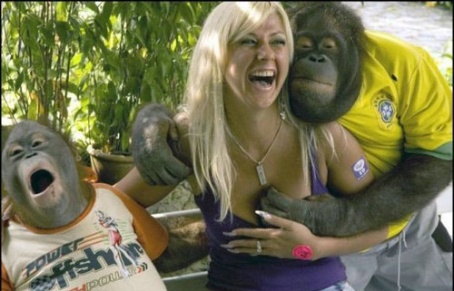 Ape Fun