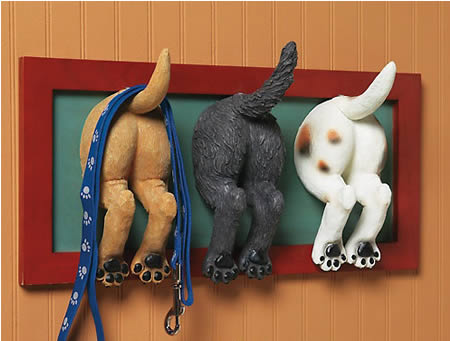 Worlds Craziest Wall Hooks