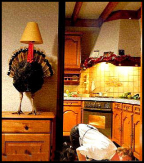 Where's That Thanksgiving Turkey?