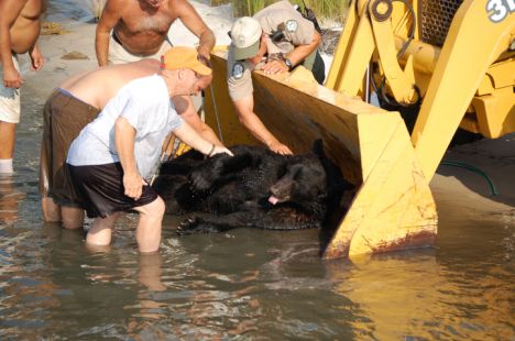 Man Saves Bear