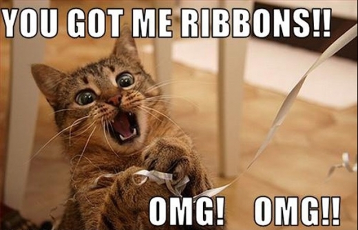 Cat And Ribbon