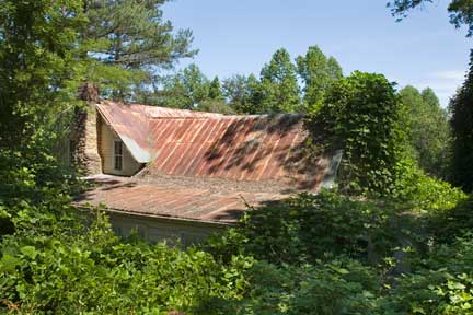 Kudzu Covered Houses