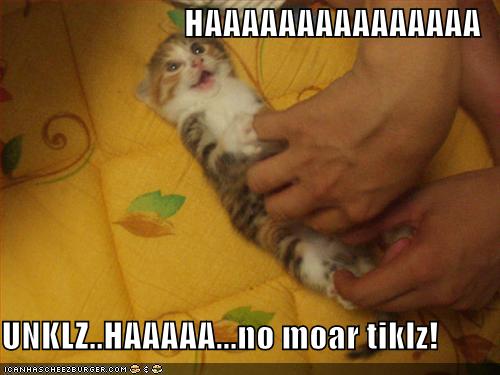 Lolcats May Edition