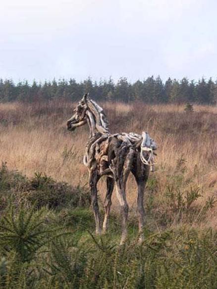 Nature Horses Using Driftwood