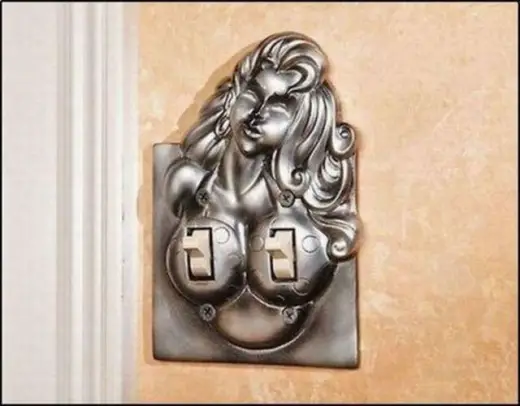 Double Light Switch