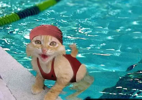 I Lurve Swimming!