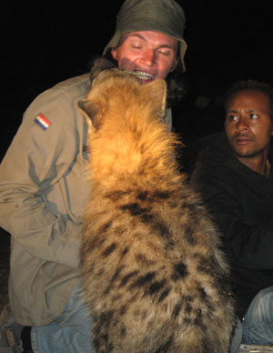 Mouth Feeding Hyenas