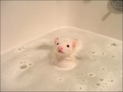 Bath Time