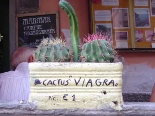 Cactus Viagra