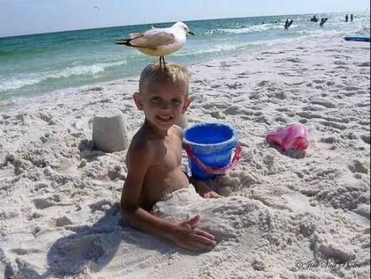 Beach Fun Time