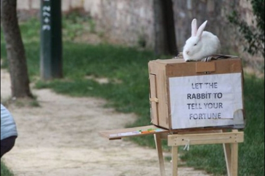 Easter Fortune Teller