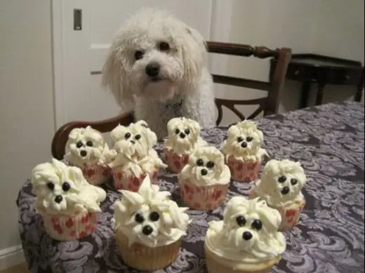 Puppy Cupcake