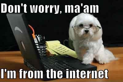 Geeky Dog