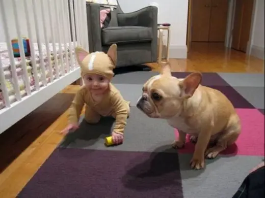 Baby Matching Dog
