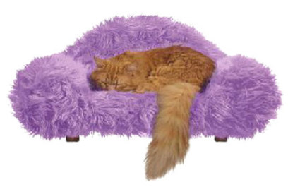 Designer Cat Beds