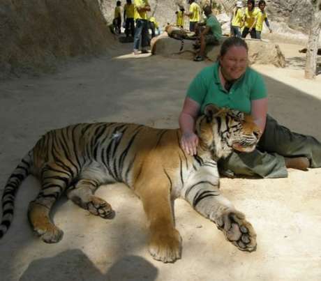 The Tiger Temple