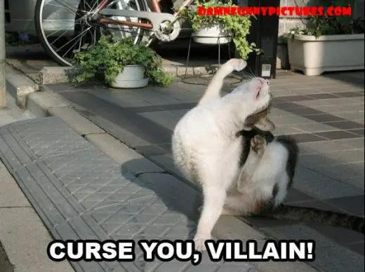 Curse You Villain