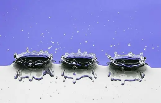 Water Drops Photo Gallery