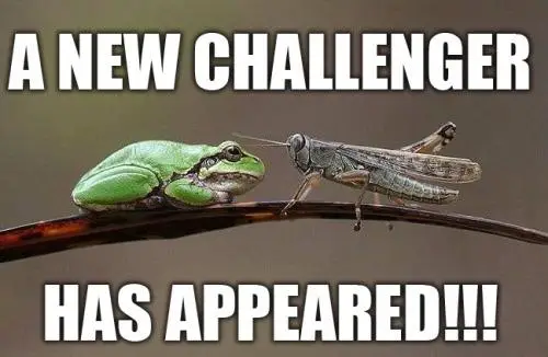 New Challenger