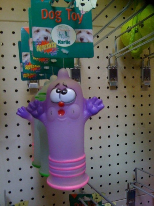 Dog's Penis Toy