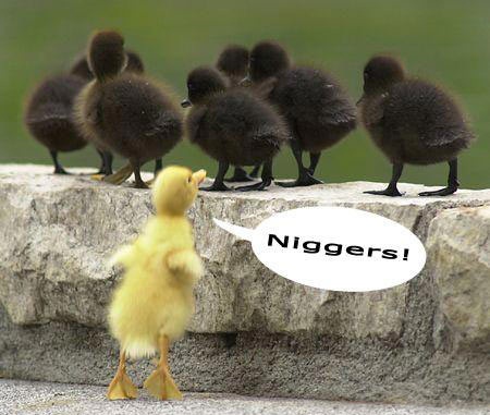 Racist Chick