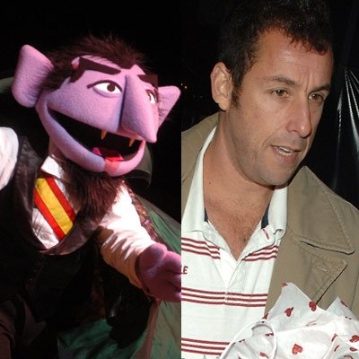 Celebrities That Look Like Muppets