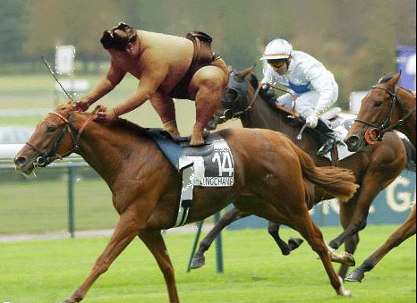 Mr. Sumo On The Horse