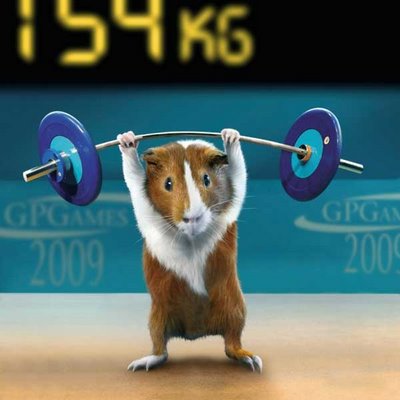 Funny Animal Olympics