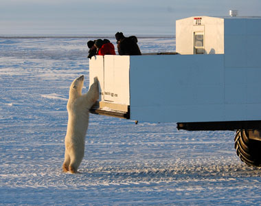 Endangered Travel