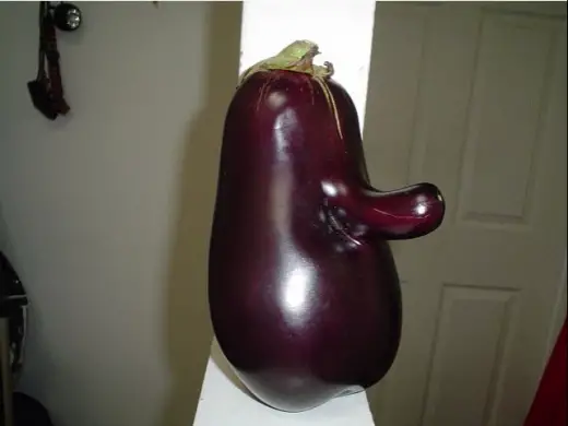 Odd Eggplant Growth