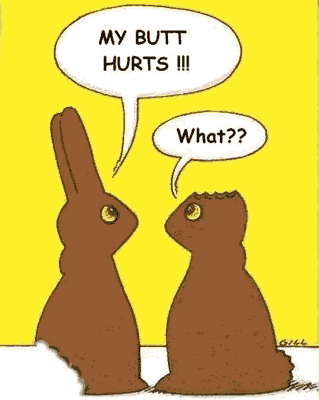 Eaten Chocolate Easter Bunnies 
