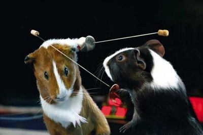 Funny Animal Olympics